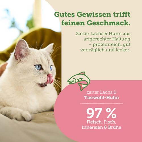 MERA Cats Nature Lachs Premium Katzenfutter Nass 12x85g | ohne Zucker und Getreide | Adult Katzen Nassfutter hoher Fleischanteil | Wet Cat Food