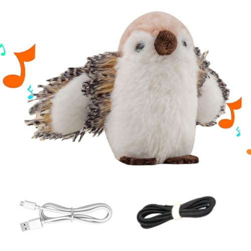 ^Lp,Jt C^NeBu o[hLgDgC | ybg̑ދ t ^pV ꏏɗVԎ