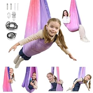 Sensory Swing, Indoor & Outdoor...