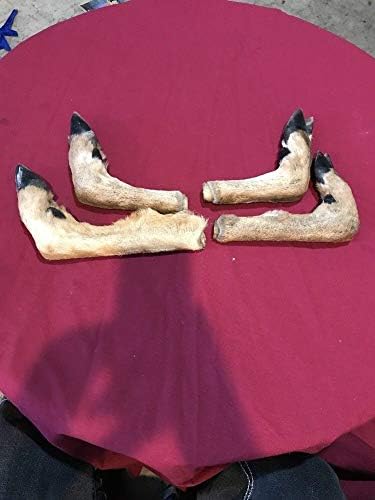 Deer Feet Cured Knife Handle Gun Rack Witch Craft Animal Mount Antler Art (4 Pack)