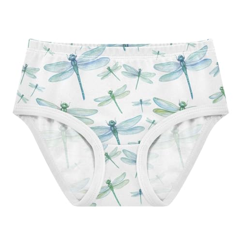 Girls Underwear Toddlers 2t Cotton Girl Panties Cute Personalized Briefs Girls Undies Blue Green Dragonflies