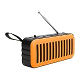 Bluetooth Speaker with FM Radio, Mini Subwoofer Solar Charging Wireless Portable Bluetooth 5.0 Speak