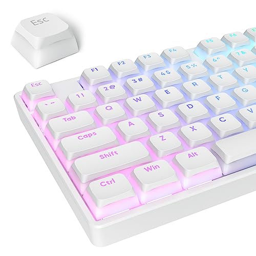 Image of surmen Pudding Keycaps PBT Double Shot Keycaps XDA Profile for Cherry Gateron MX Switches Mechanical Keyboard(White)