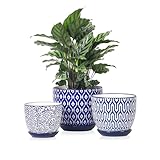Selamica Ceramic Plant Pots, 4.6+5.6+6.5 Inch...