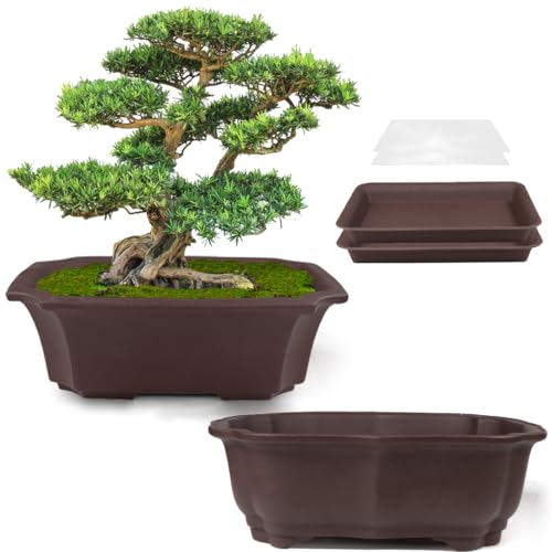 Unglazed Bonsai Pot 9 Inch Saucer