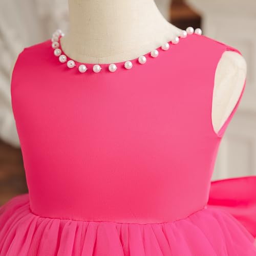 TTYAOVO Flower Girl Dress Backless Wedding Party Tulle Dresses4