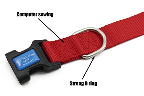 https://m.media-amazon.com/images/I/41lVjUlPLML._SL500_.jpg