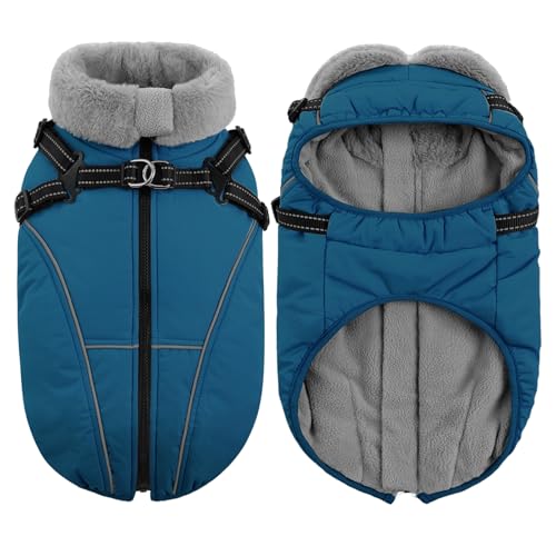 Queenmore Hundejacke Kleine Hunde Winter, Hundemantel Reflektierend Wasserdicht, Hunde Fleecemantel für Dackel/Cockapoo/Spielzeugpudel/Welpen(Coelinblau, S)