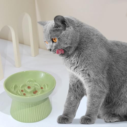 Gamelle créative en céramique pour chat avec base stable et lourde