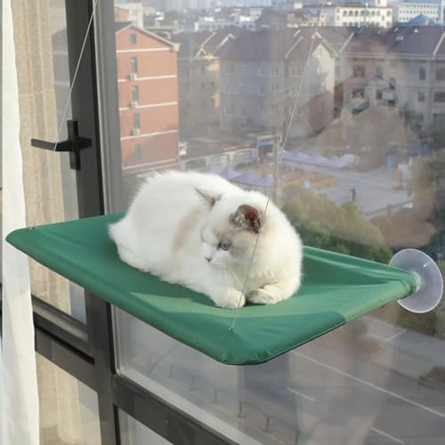 Percha cómoda de interior para evitar estrés con hamaca para gatos de ventana 5
