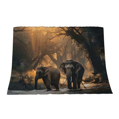 Couverture éléphant peluche haut de gamme 127x101 cm - 3