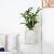 Pageqiu Plant Pots - Cement Planters Indoor - Modern Grey Flower Pot with Drainage Hole - Home Office Decor
