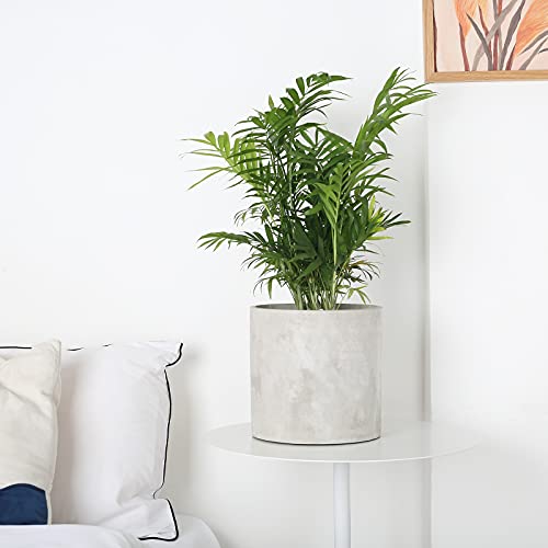 Pageqiu Plant Pots - 5.5 Inch Cement Planters Indoor thumb #1
