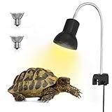 Por lo tanto, una alta radiación UVB, similar a los entornos naturales del desierto donde hay más luz solar directa y mayor radiación UV, es ideal para todos los reptiles del desierto.