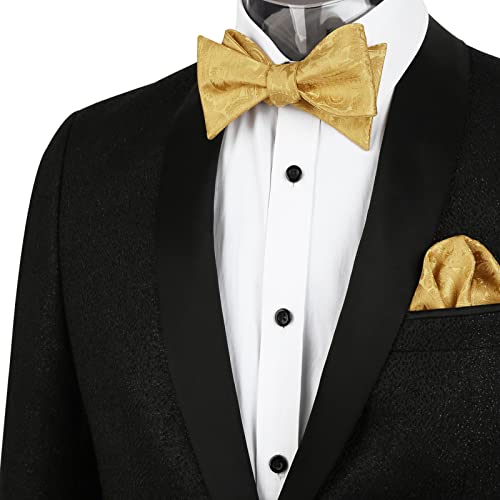 Image of Alizeal Mens Paisley Adjustable Bow Tie Set