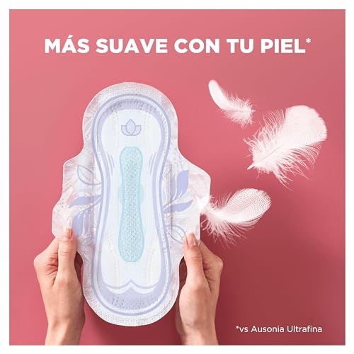 Miniatura 4 de 