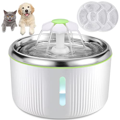 Best Cat Water Fountains Best Cost