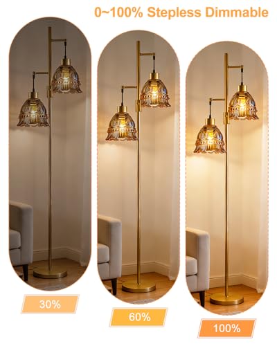 Image of 2-Light Modern Glass Floor Lamp, Gold Tall Standing Lamp with Amber Lace Glass Shade for Reading, Dimmable LED Floor Lamp with 5Lbs Heavy Base for Living Room Bedroom Home Decor, Bulb Included
