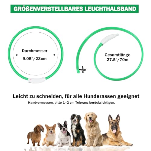 Nepfaivy Leuchthalsband Hund USB Aufladbar - Wasserdichtes Hundehalsband Leuchtend mit Verstellbarer Länge, LED Halsband für Hunde mit 4 Beleuchtungsmodi für Sicherheit, Grün