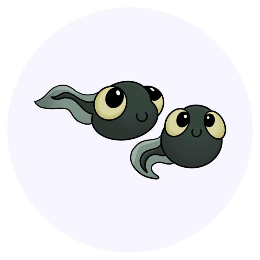 24 x 40mm Round 'Cute Tadpoles' Stickers (SK00067497)