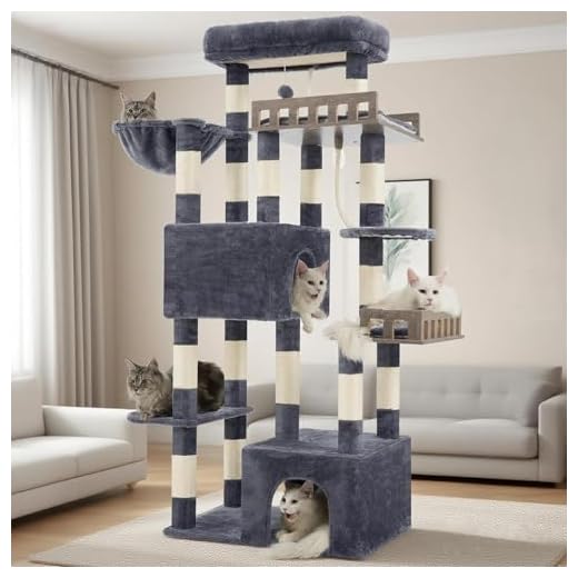 Gitelsnour Heavy Duty Maine Coon Cat Tree