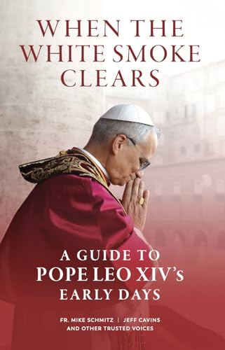 When the White Smoke Clears: A Guide to Pope Leo XIV's Early Days - image 1