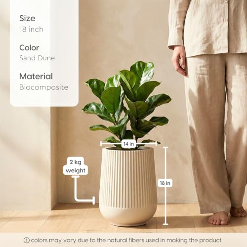 Image of Eha Earth Friendly Opera Big Planters for Home Decor | 18 inch, Pack of 1 | Heavy Duty Plant Pot Made with Rice Husk & Bamboo Biocomposite | UV Protected Pot for Plant | Pots & Planters Big Size
