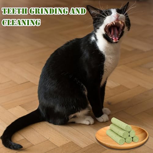 Katzengras Snack,60g Katzengras Sticks,Cat Grass Teething Stick,Beißstab aus katzengras, Gefriergetrocknet Snacks für Katzen,für die Zahnpflege und Haarknäuel Entfernen, Katzenminze
