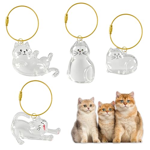 Porte-clés pour ramasser les poils d'animaux pour ne plus jamais perdre leurs souvenirs