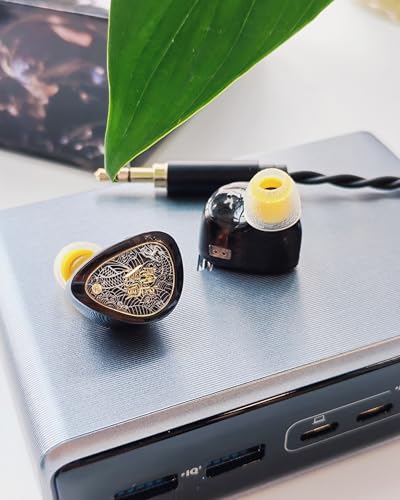 Image of TANGZU Wan'er S.G II in Ear Monitor, Gaming IEM Earphones, HiFi Wired Earphones with 10mm Single Dynamic Driver PET Diaphragm, 0.78mm 2-Pin Tangle-Free Detachable Cable (Black, 3.5mm with Mic)
