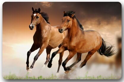 Running Horse Door Mat Cover Non-Slip Machine Washable Outdoor Indoor Bathroom Kitchen Decor Rug Mat Welcome Doormat
