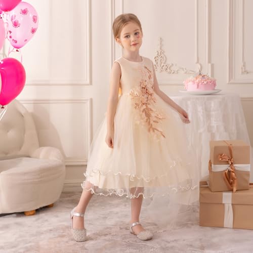 Flower Girl Dress,Toddler Formal Dress Birthday Party Wedding Floral Embroidered Tulle Satin Dresses for Kids Age 2-123