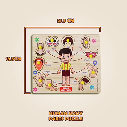 Image of Lefan Wooden Puzzle Numbers Counting 1 to 10 Picture Learning Educational Board for Kids Puzzle for Creative Kids knob Educational Learning Wooden Puzzle Board for Kids