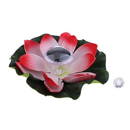 Solar Pool Flower The Best Amazon Price In Savemoney Es