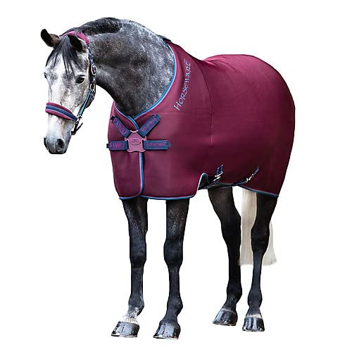 Abschwitzdecke Die 15 besten Produkte im Vergleich & Angebote