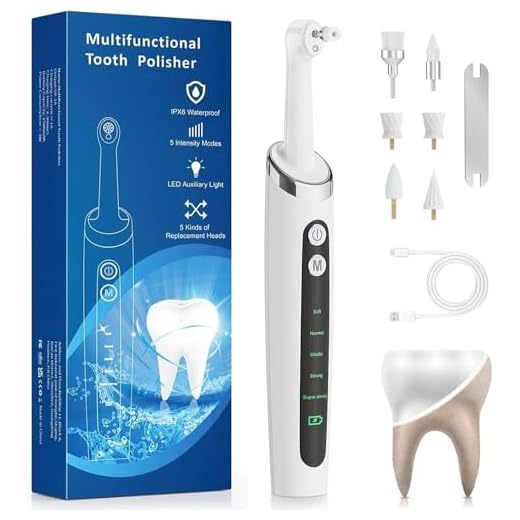 Electric Tooth Polisher with Brush Heads