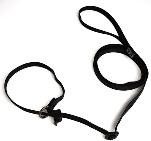 Guia Unificada Cachorro Adestramento Cores (Preto, 1,80 metros)