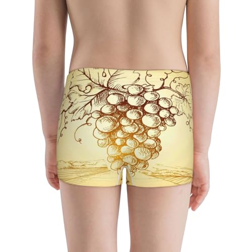 Boys' Cotton Boxer Brief Soft Underwear-Bunch Of Grapes3