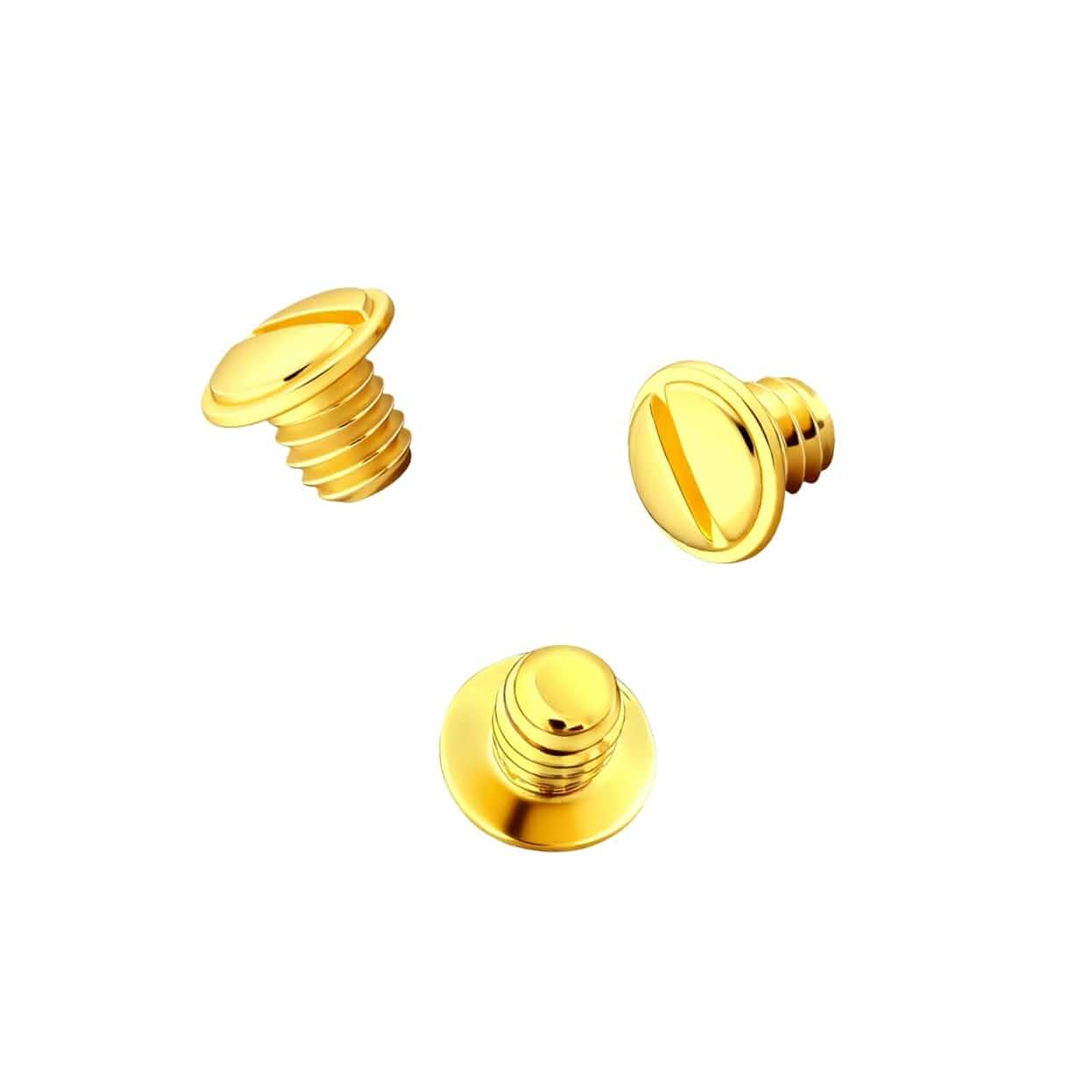 Bracelet Screws Compatible to Cartier Love Bracelet Screw TQ Stainless Steel 3pcs (Gold) Iron