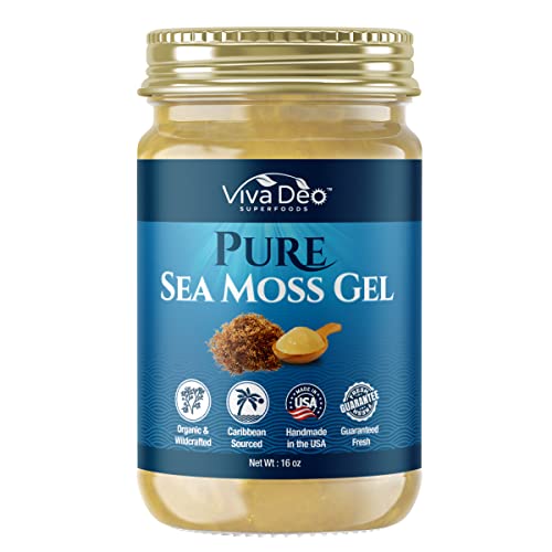 Viva Deo Pure Sea Moss Gel - Natural and Wildcrafted Organic Sea Moss Gel - Fresh, Made in The USA - Sea Moss for Skin, Hair - Dr Sebi Inspired - (Unflavored, 16 oz.)