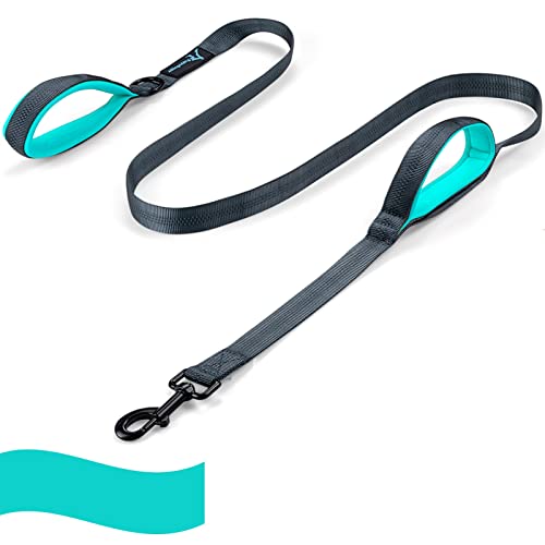 Image of Dog Leash for Large Medium Dogs 6Ft x 1 inch Reflective Stitching Large Pet Leash with 2 Traffic Padded Handles Dog Lead Rope for Running Walking Training (Green 1 Pack)