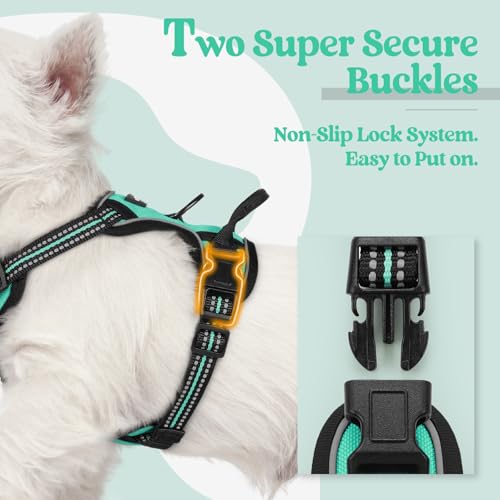 Image of rabbitgoo Dog Harness No Pull with 2 Leash Clips, Adjustable Soft Padded, Reflective Oxford No Choke Pet Vest with Easy Control Handle for Puppy, Turquoise, XS