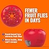 TERRO Fruit Fly Traps for Indoors (4 Pack) + 180 Days of Lure Supply #4