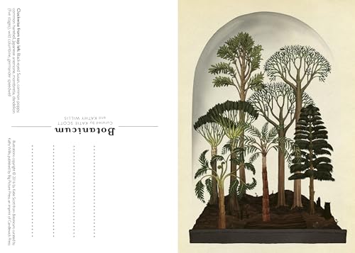 Botanicum Postcard Box Set (Welcome to the Museum) - Image 2