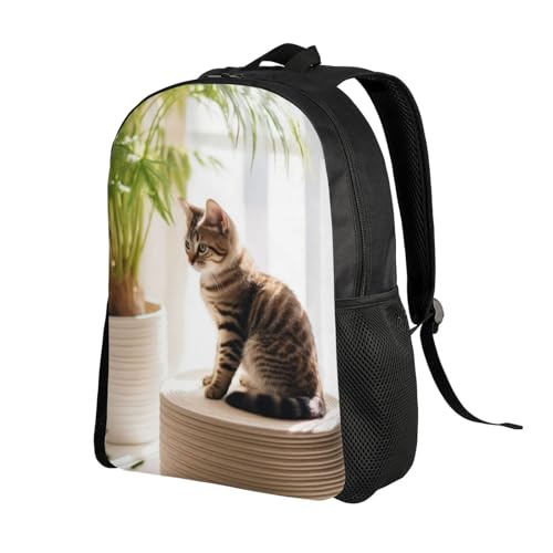 High Capacity Adorable Cat Relaxing Indoors Backpack Large Multipurpose Bag Double Zipper Backpack Unisex 16 Inch2