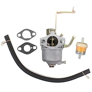 AISEN Vergaser mit Dichtung für Matrix D-PG 1000 Scheppach SG950 Einhell PT-BG 850 Stromerzeuger