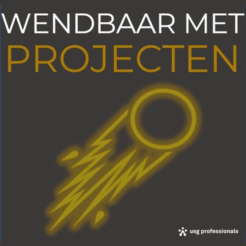 Page de couverture de Wendbaar met projecten #2 - Mario Vanhoucke, Professor aan de Universiteit Gent (NL)