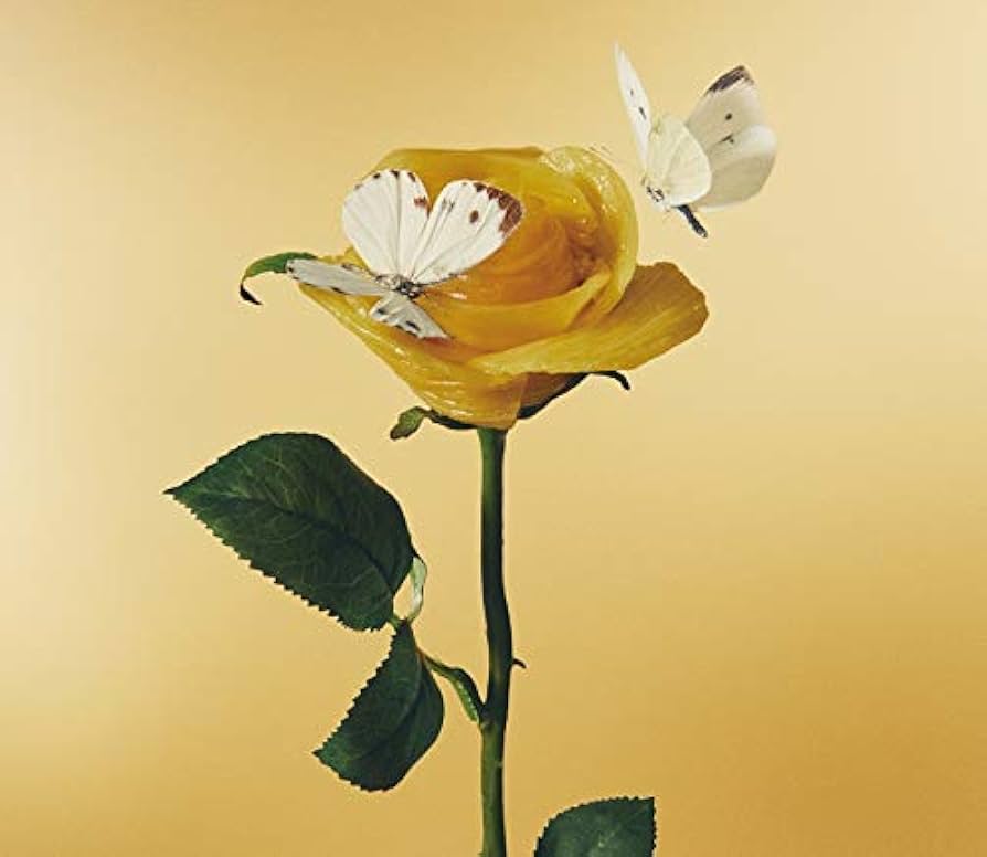 あいみょん　おいしいパスタがあると聞いて アルバム CD グッズセット　バラ売⭕️ Amazon.co.jp: おいしいパスタがあると聞いて (通常盤