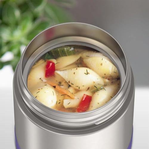 Image of THERMOS FUNTAINER Kids Food Jar, 10oz, Violet