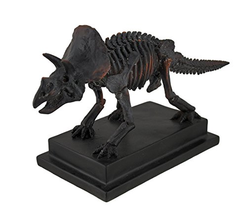 Estatua esqueleto de Triceratops acabado bronce antiguo miniatura 2